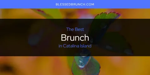 The Best Brunch in Catalina Island List
